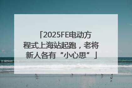 2025FE电动方程式上海站起跑，老将新人各有“小心思”