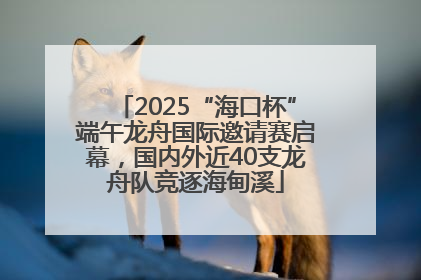 2025“海口杯”端午龙舟国际邀请赛启幕，国内外近40支龙舟队竞逐海甸溪