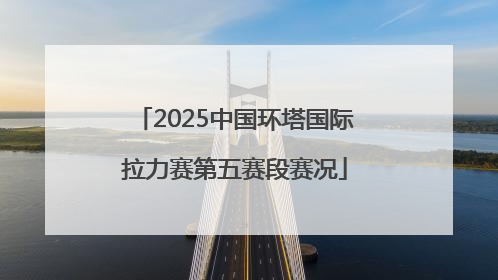 2025中国环塔国际拉力赛第五赛段赛况