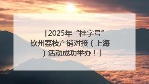 2025年“桂字号”钦州荔枝产销对接（上海）活动成功举办！