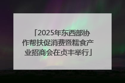 2025年东西部协作帮扶促消费暨糯食产业招商会在贞丰举行