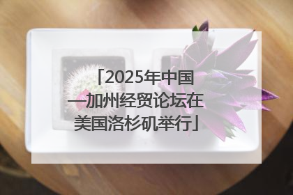 2025年中国—加州经贸论坛在美国洛杉矶举行