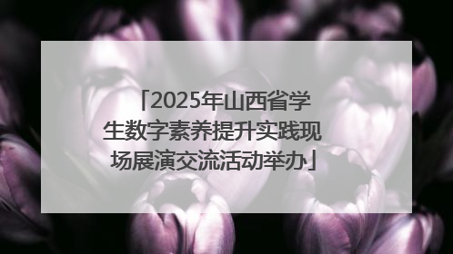 2025年山西省学生数字素养提升实践现场展演交流活动举办