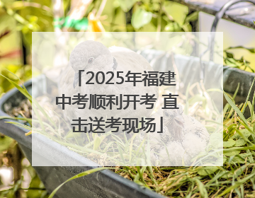2025年福建中考顺利开考 直击送考现场