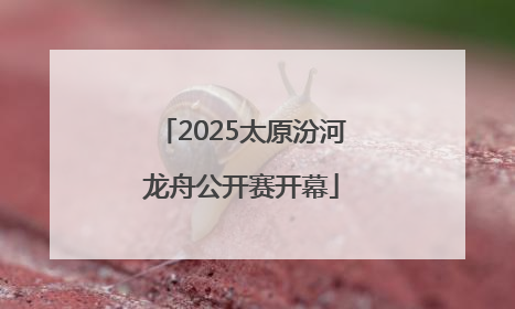 2025太原汾河龙舟公开赛开幕