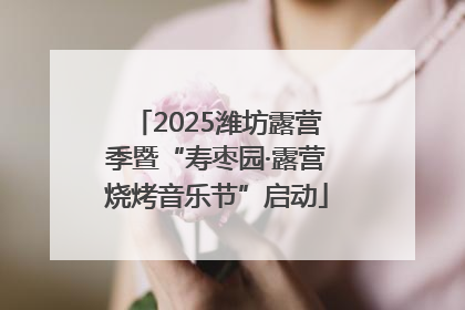 2025潍坊露营季暨“寿枣园·露营烧烤音乐节”启动