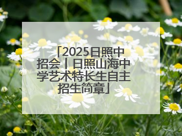 2025日照中招会丨日照山海中学艺术特长生自主招生简章