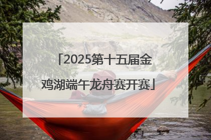 2025第十五届金鸡湖端午龙舟赛开赛