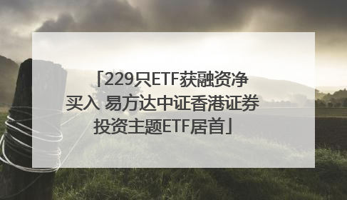 229只ETF获融资净买入 易方达中证香港证券投资主题ETF居首