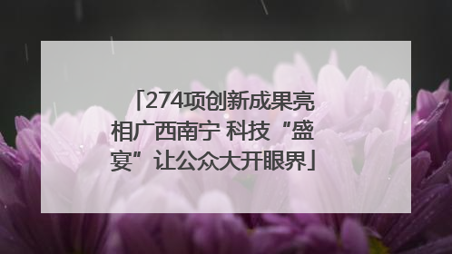 274项创新成果亮相广西南宁 科技“盛宴”让公众大开眼界