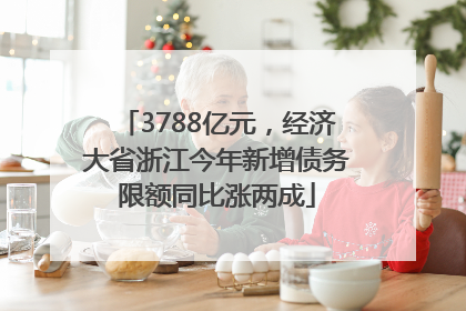 3788亿元，经济大省浙江今年新增债务限额同比涨两成