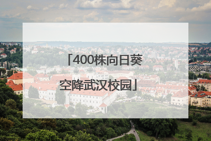 400株向日葵空降武汉校园