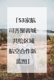 53家航司齐聚蓉城 共绘区域航空合作新蓝图
