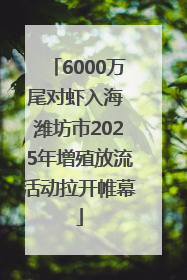 6000万尾对虾入海 潍坊市2025年增殖放流活动拉开帷幕