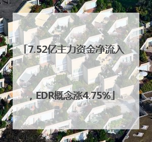 7.52亿主力资金净流入，EDR概念涨4.75%