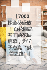 7000株金葵盛放！百花园高考主题花展启幕，为学子点亮“魁首之路”