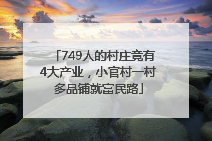 749人的村庄竟有4大产业，小官村一村多品铺就富民路
