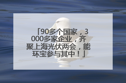 90多个国家，3000多家企业，齐聚上海光伏两会，能环宝参与其中！