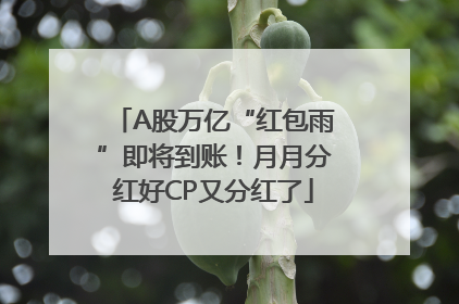 A股万亿“红包雨”即将到账！月月分红好CP又分红了