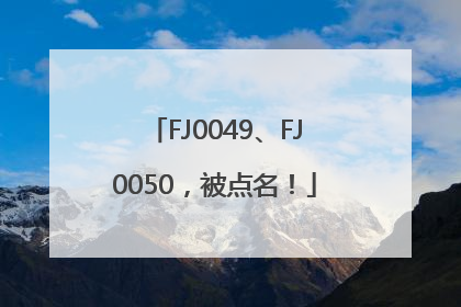 FJ0049、FJ0050，被点名！