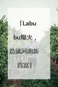Labubu爆火，造就河南新首富