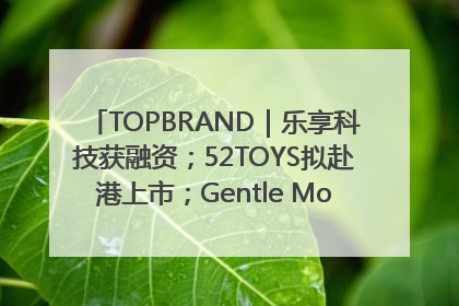TOPBRAND｜乐享科技获融资；52TOYS拟赴港上市；Gentle Monster合作谷歌；Valentino传播官离职